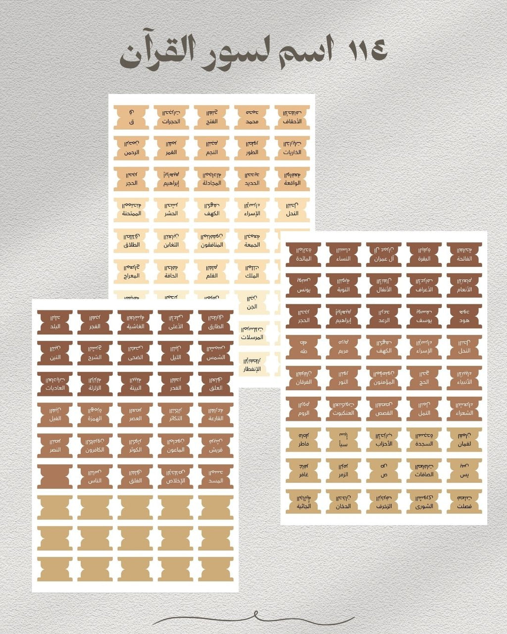 بوكس العبادة 2026